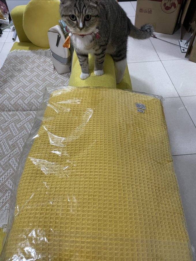 坐垫