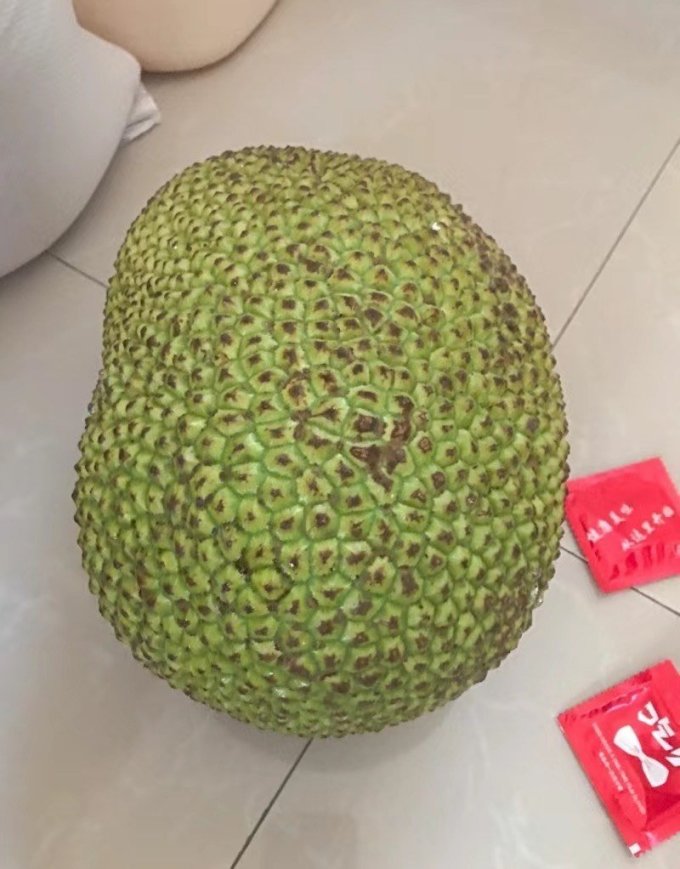 仙果岭其他水果