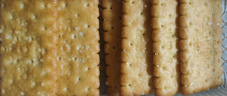 康元椰子奶油饼干童年的好味道