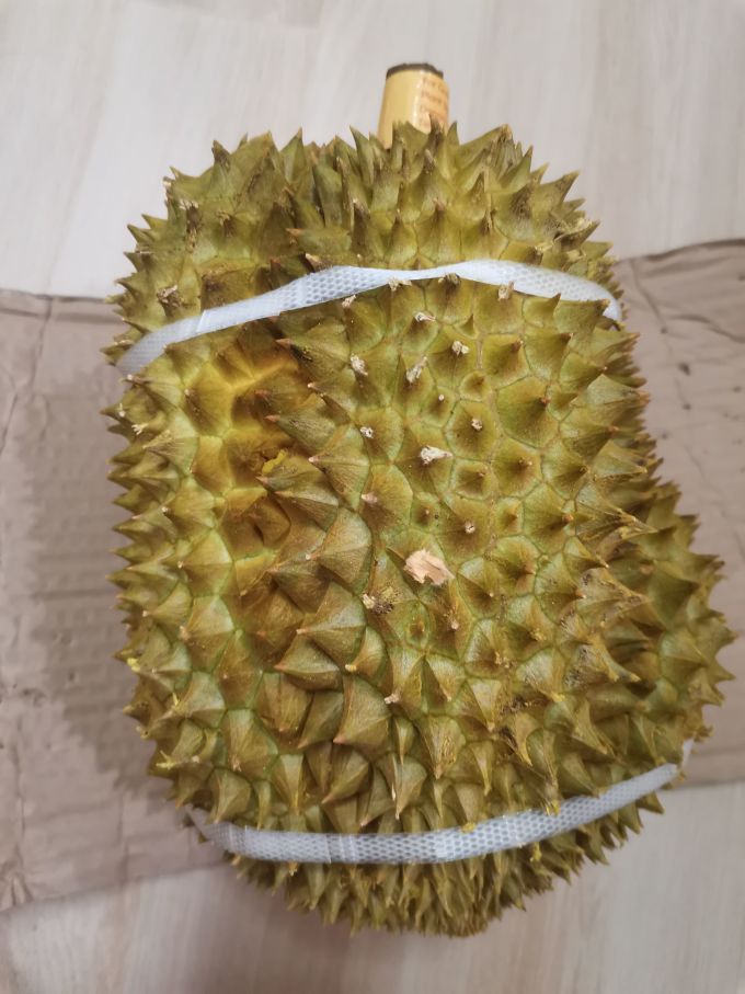 榴莲