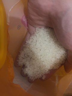 简单便宜的主食-米