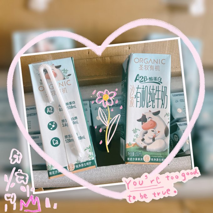 圣牧奶类制品