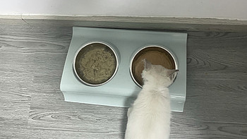 双碗斜口猫食碗 带加高