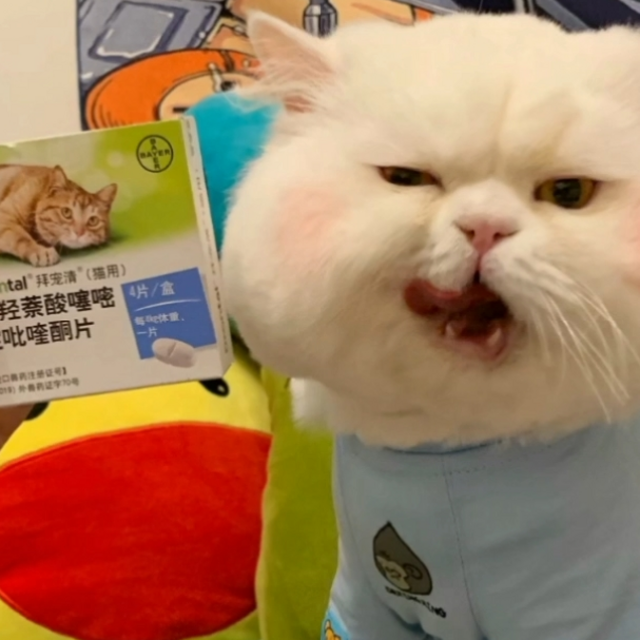 猫咪体内驱虫药推荐✔拜宠清