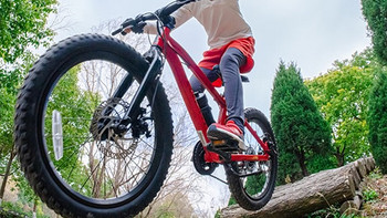 好物分享 篇二十八：【迪卡侬挖宝】迪卡侬青少年自行车产品线整理（四）20寸自行车——山地自行车