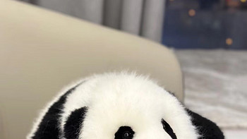 可爱的熊猫玩偶：童年的陪伴