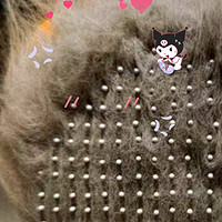 猫毛梳自动除毛刷去浮毛专用针梳是一款非常实用的清洁工具，它可以快速去除宠物身上的浮毛