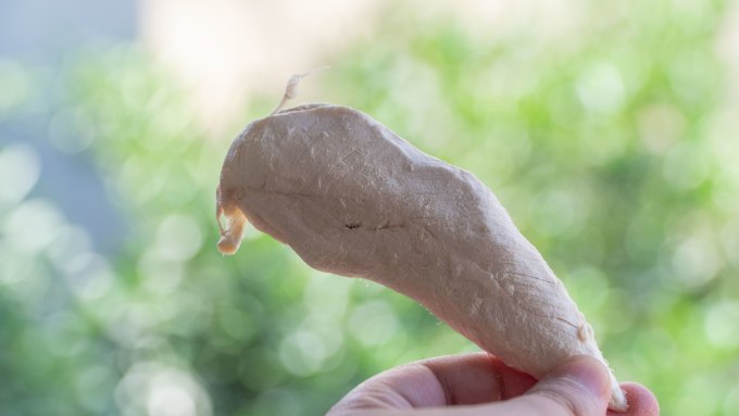 盒边猫咪冻干零食