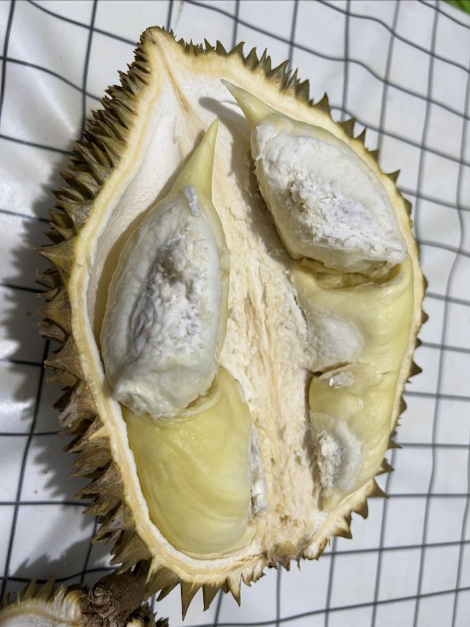 榴莲