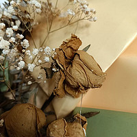 干花是将鲜花自然晾晒或采用特殊技术加工而成的花卉装饰品
