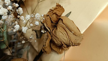 干花是将鲜花自然晾晒或采用特殊技术加工而成的花卉装饰品