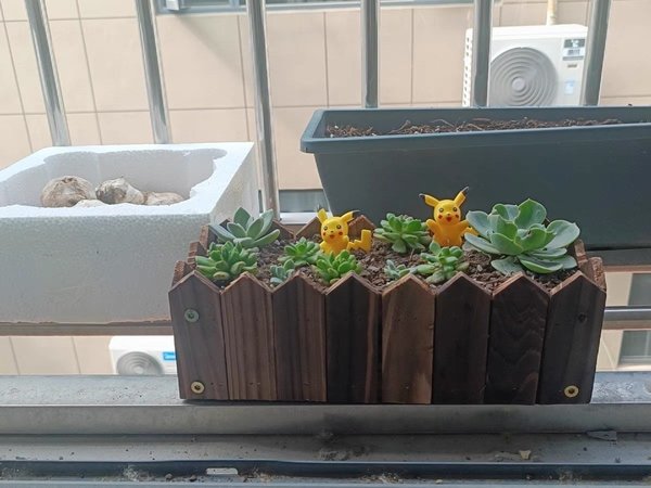 多肉实木花槽