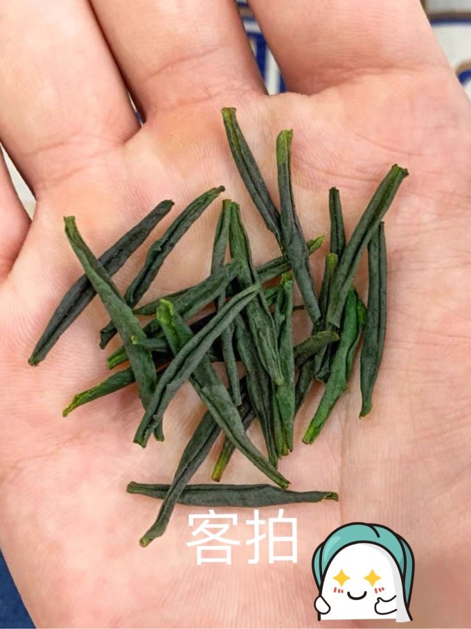 绿满堂茶类