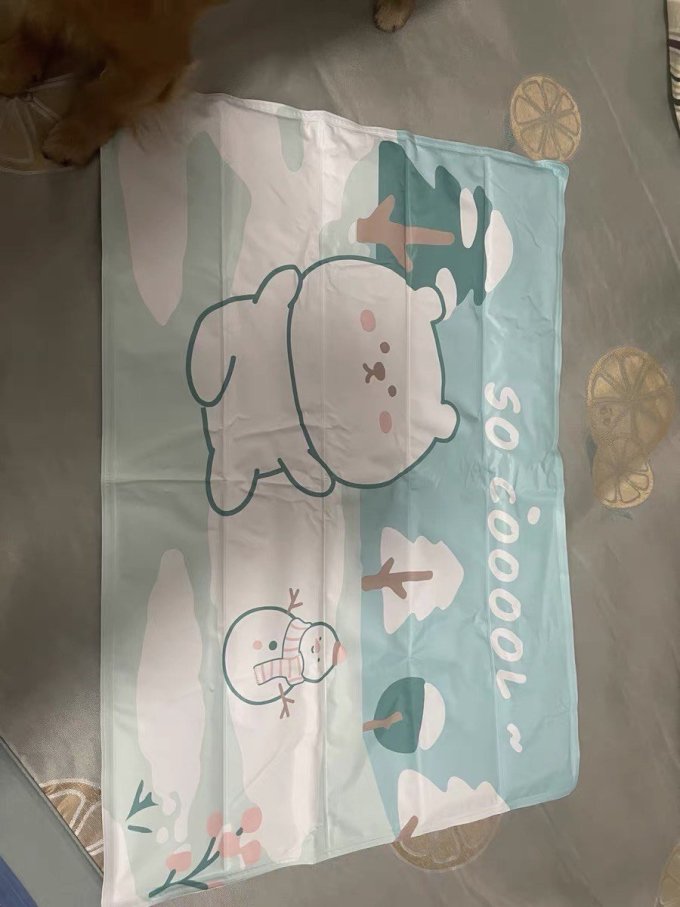 嬉皮狗猫狗窝