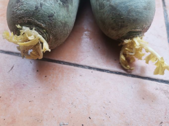 中鲜生蔬菜