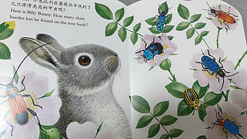 绘本 篇一：可触摸的绘本：小兔比利，中英文双语