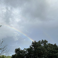 今日份幸福 看到了彩虹