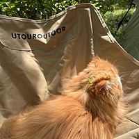 夏日必备！清凉透气的夏日帆布猫窝，让宠物舒爽一夏！