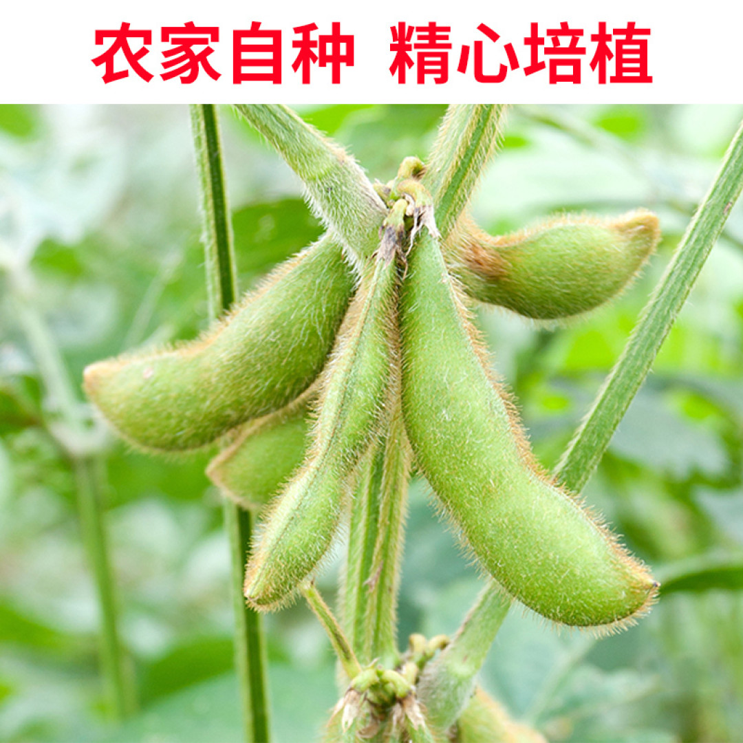 一盘不到10块钱的家常菜