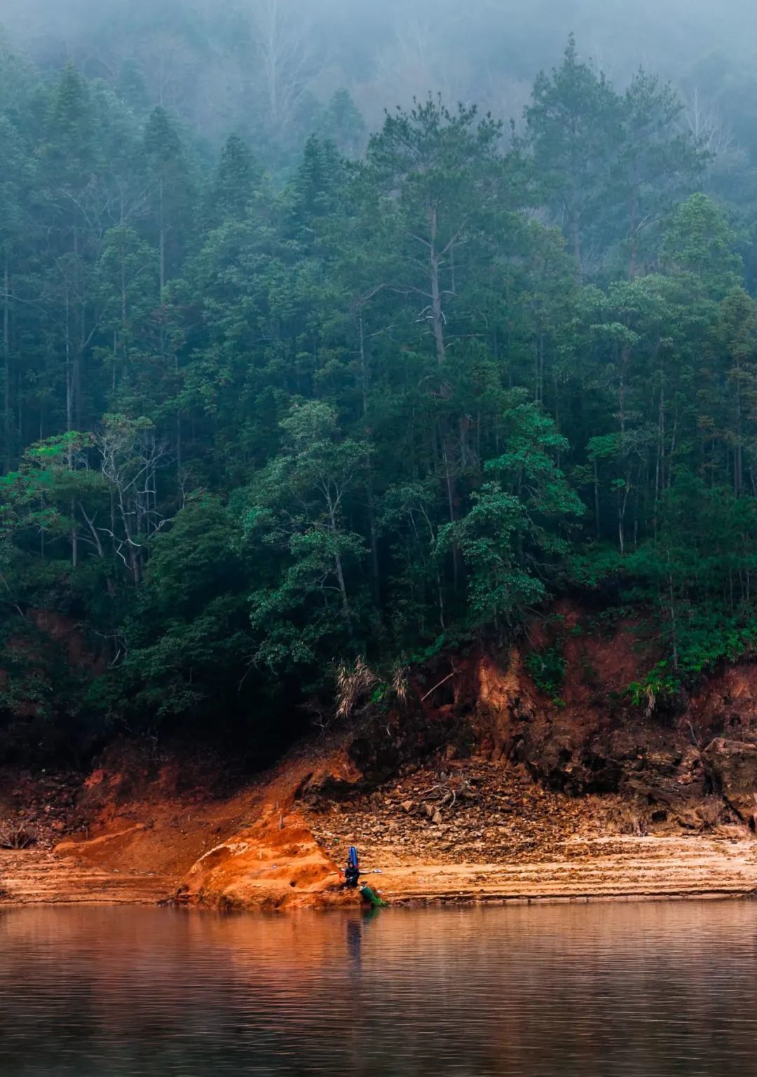 Photo by Yubin Zhou on Unsplash