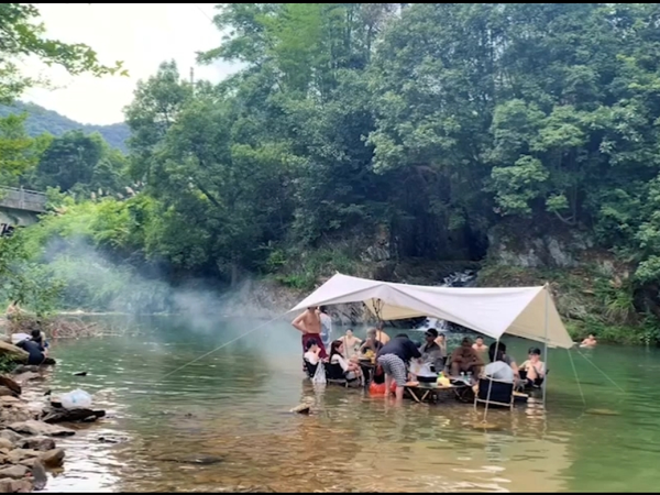 水中纳凉好不惬意