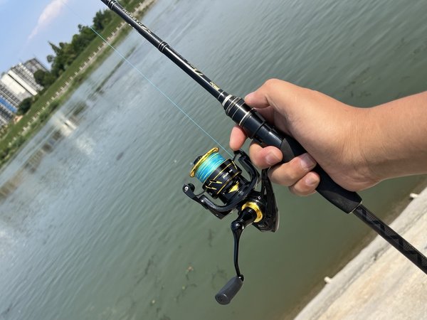 入门路亚坊车轮天花板？200元的阿布MAX SX