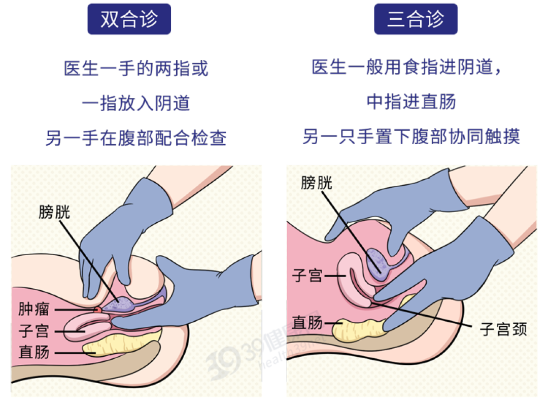 关于301医院代诊挂号服务流程老人体检全程引导，安稳完成检查的信息