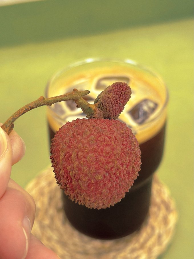 探味君新鲜水果