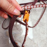 铲屎官好物推荐~~狗狗牵引绳