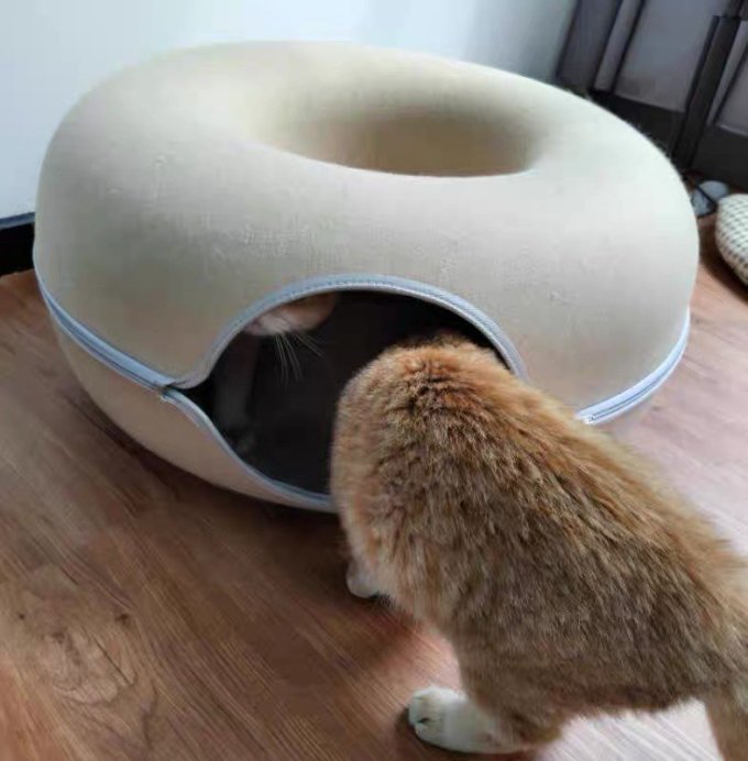 猫狗窝
