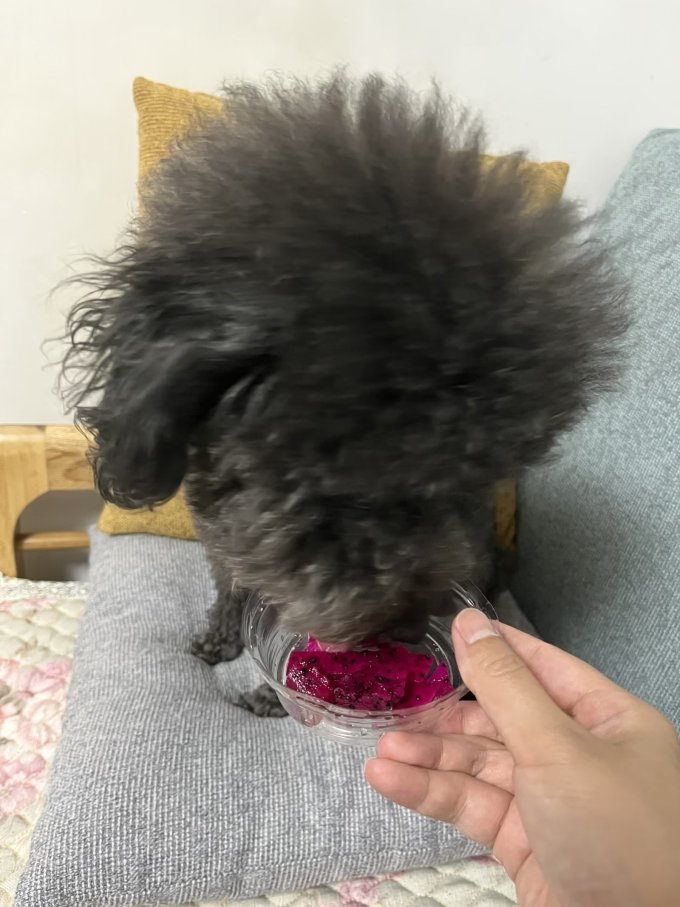 乡寸新鲜水果