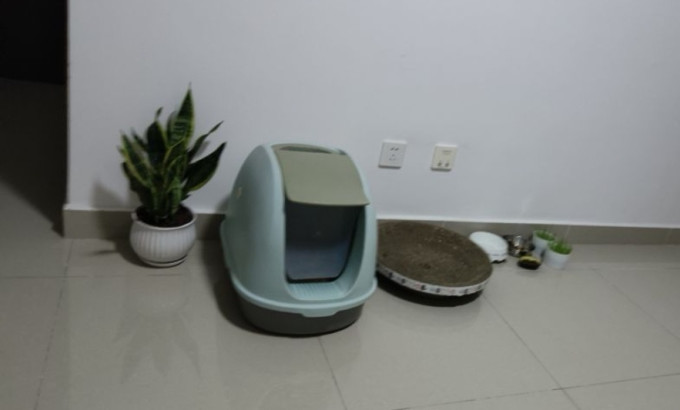 华元宠具猫砂盆