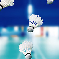 羽毛球新手入门指南：掌握基本技巧，享受运动乐趣