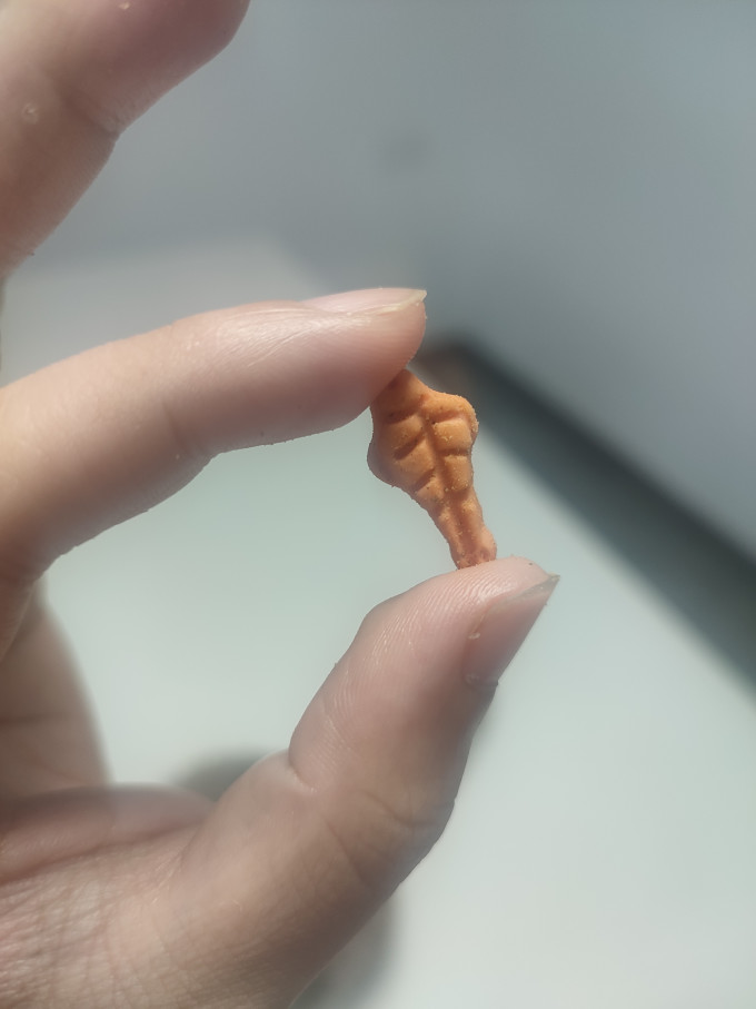 盒边宠物肉质零食