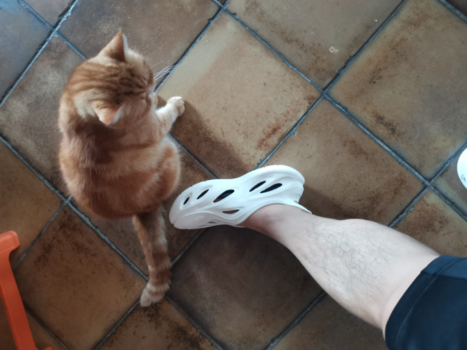 男士户外凉鞋