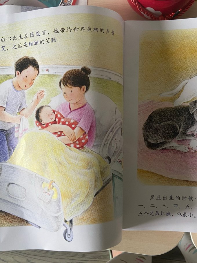 期刊杂志