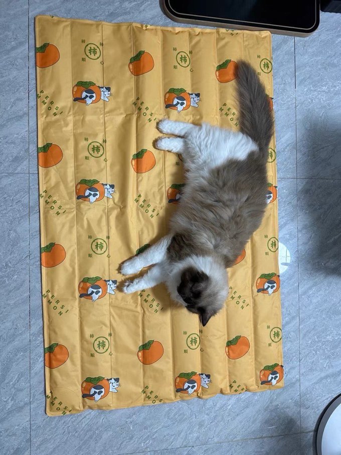 宠物冰垫