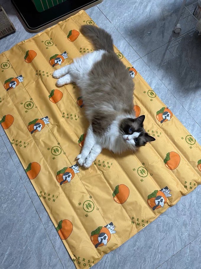 宠物冰垫