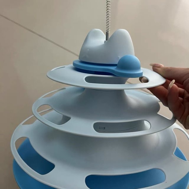 转走孤独，让猫咪快乐成长