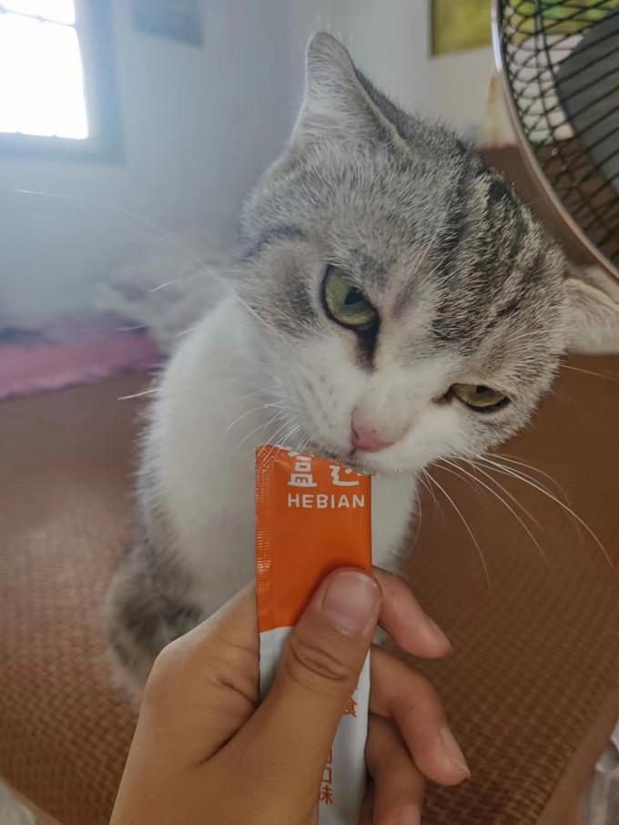 猫零食