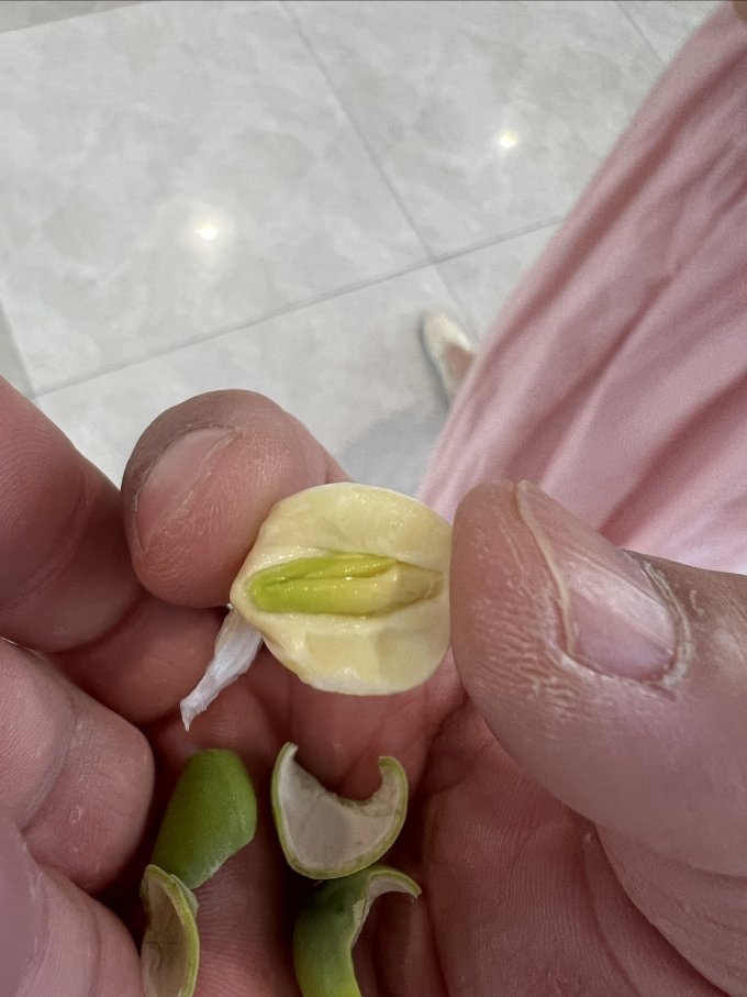 盛耳南北干货