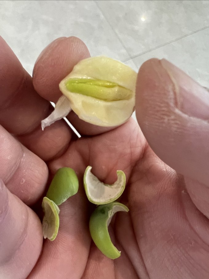 盛耳南北干货