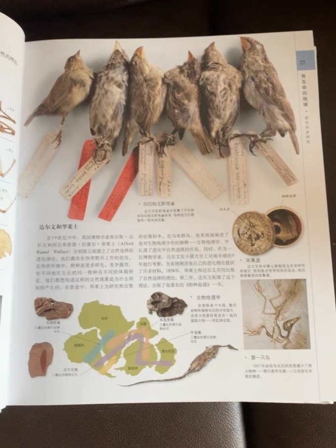 中国科学技术出版社科普/百科