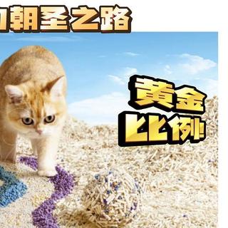 猫咪的朝圣之路——猫砂黄金比例