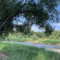 酷热难当，来汾河川湿地公园清凉一夏