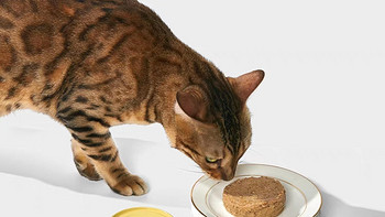 好适嘉黄金罐是一款主食猫罐头，适合猫咪作为全价主食食用