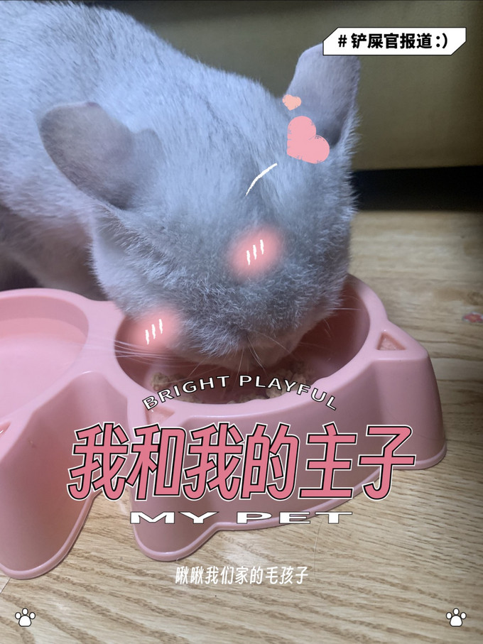 猫咪湿粮/罐头