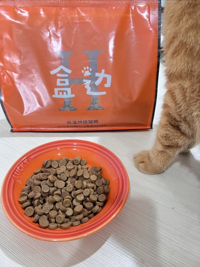 盒边猫咪干粮