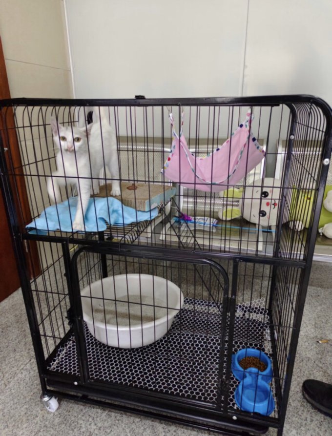 猫笼/猫别墅