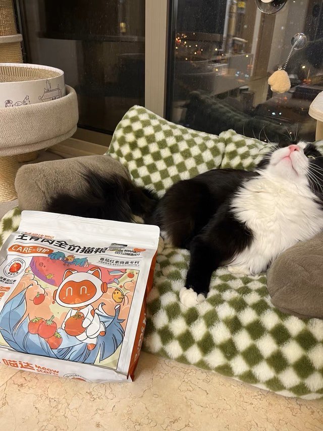 喵达冻干生骨肉全阶段番茄猫粮10袋共400g